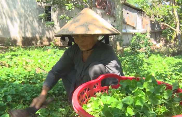 Thời sự trưa (22-04-2020)