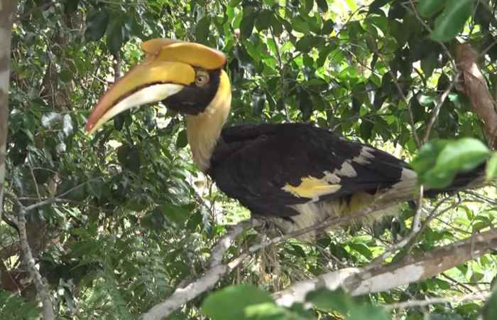 Thời sự trưa (22-05-2020)