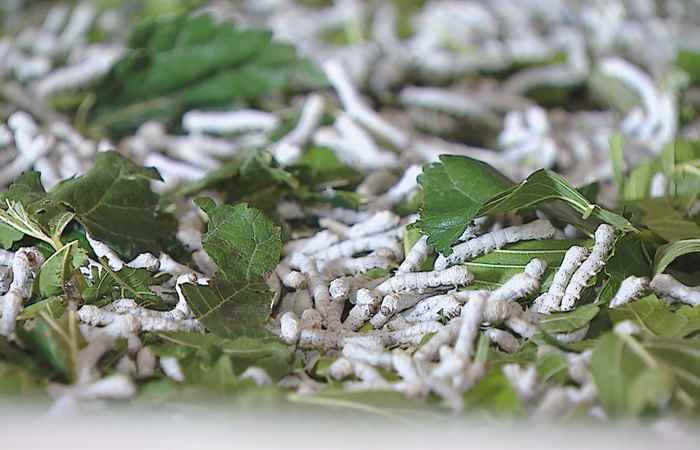  Thời sự trưa (22-06-2023)