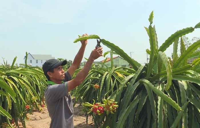 Thời sự trưa (22-06-2024)