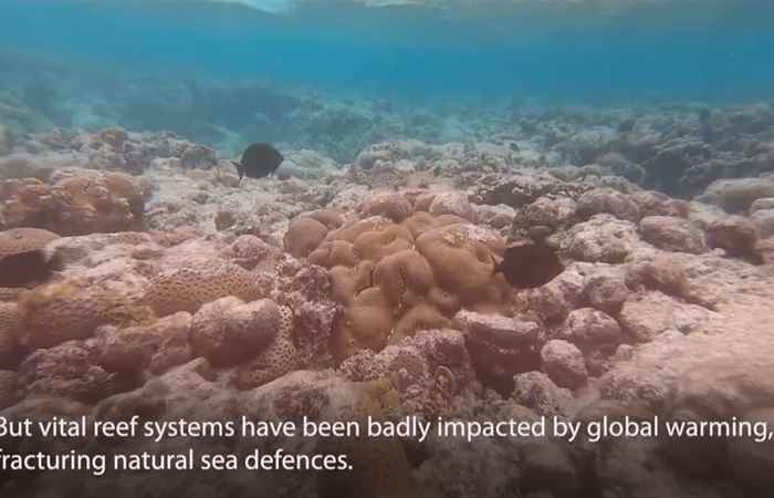 Thời sự trưa (22-09-2022)