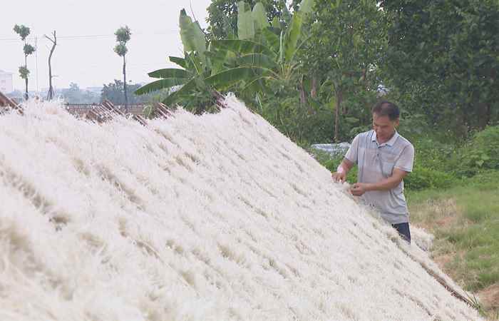 Thời sự trưa (23-06-2024)