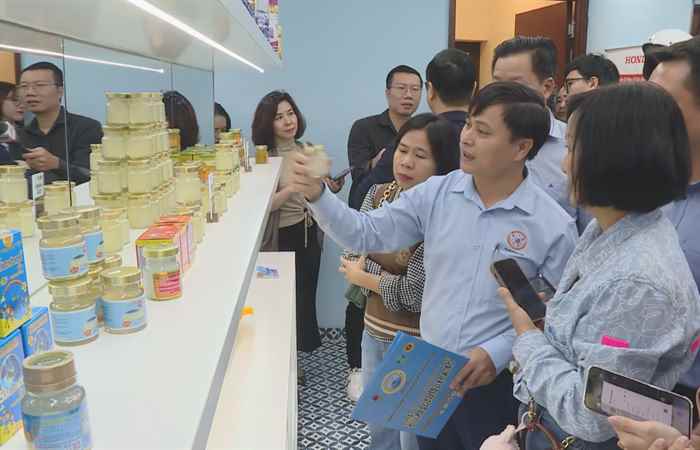 Thời sự trưa (23-11-2024)