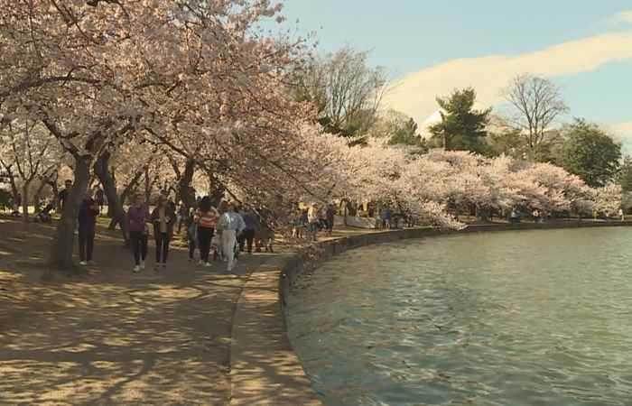 Thời sự trưa (24-03-2022)