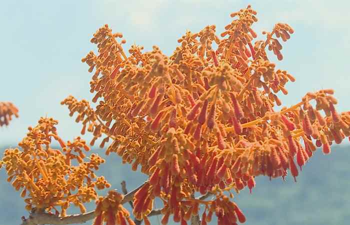 Thời sự trưa (24-07-2022)