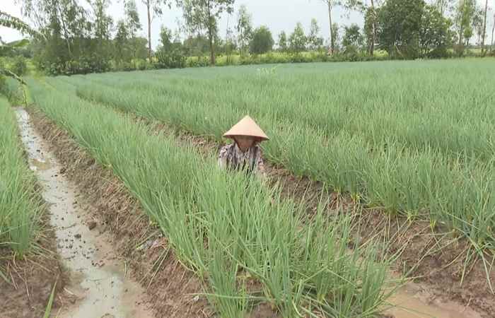 Thời sự trưa (24-08-2022)