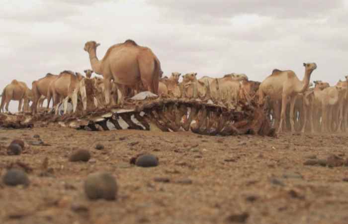 Thời sự trưa (24-09-2022)