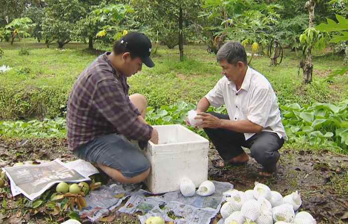 Thời sự trưa (24-11-2024)
