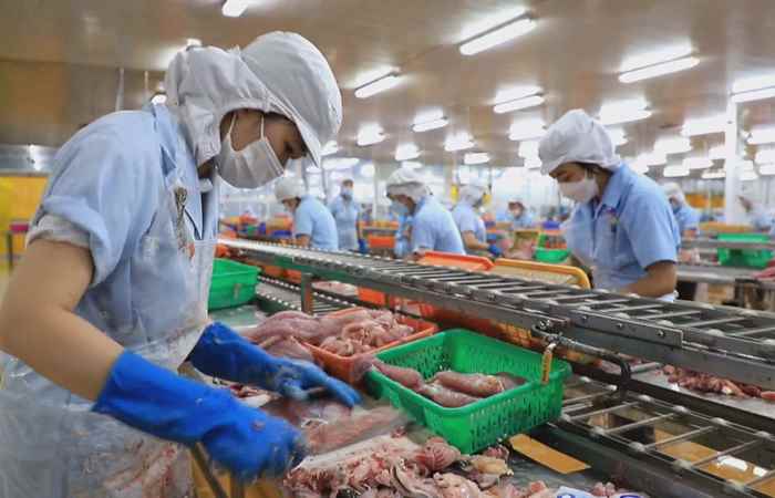  Thời sự trưa (24-12-2022)