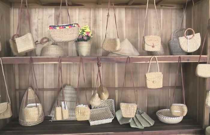 Thời sự trưa (26-01-2023)