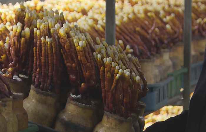 Thời sự trưa (26-02-2024)