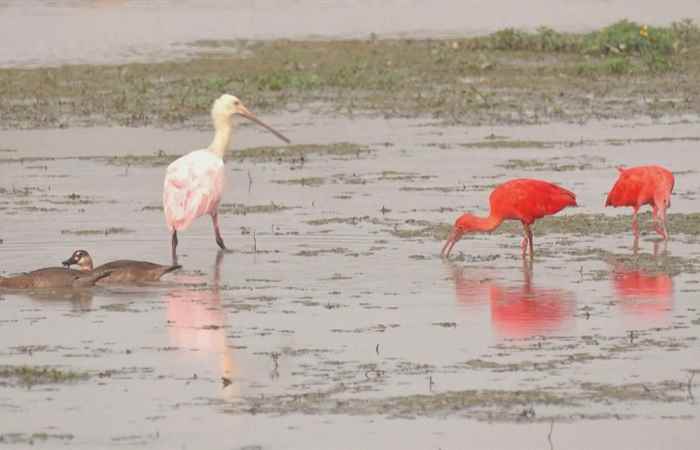 Thời sự trưa (26-04-2023)