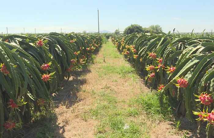 Thời sự trưa (27-01-2023)