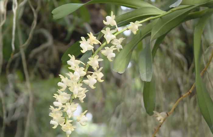 Thời sự trưa (27-03-2021)