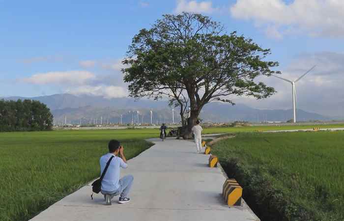 Thời sự trưa (28-03-2025)