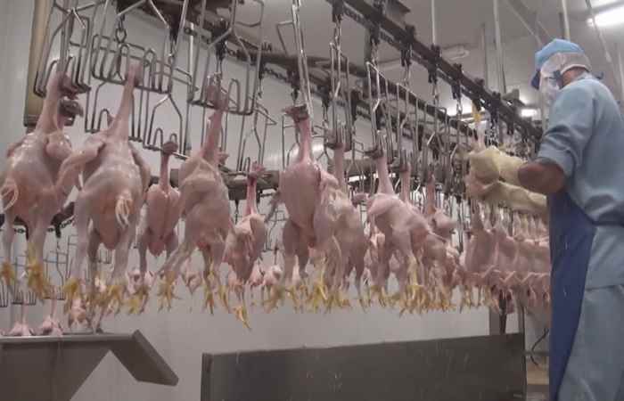 Thời sự trưa 28-11-2019