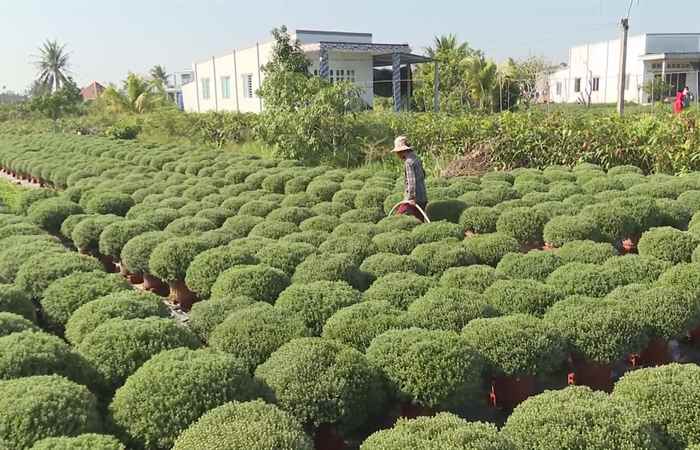  Thời sự trưa (28-12-2022)