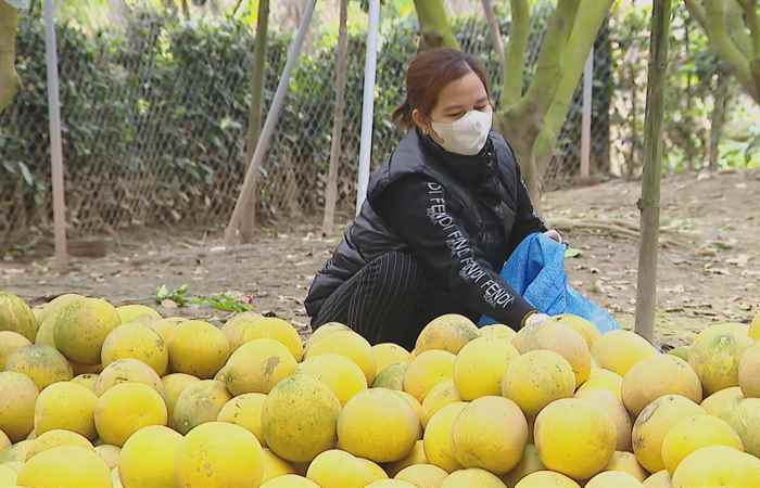  Thời sự trưa (29-01-2024)