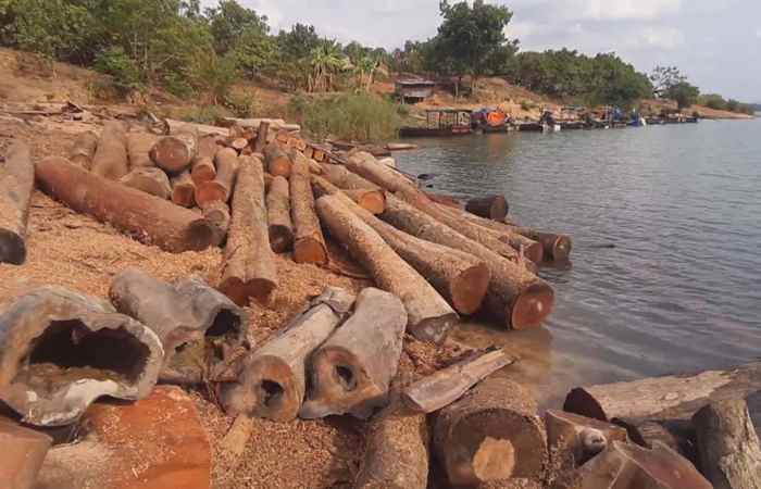 Thời sự trưa (29-04-2021)