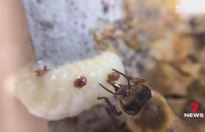  Thời sự trưa (29-06-2022)