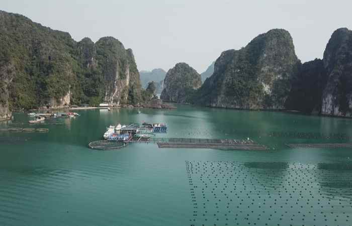 Thời sự trưa (29-06-2024)
