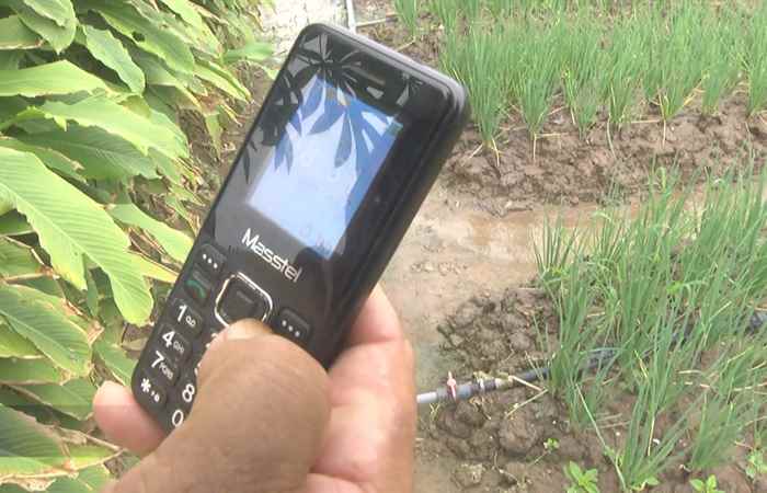 Thời sự trưa (29-11-2022)