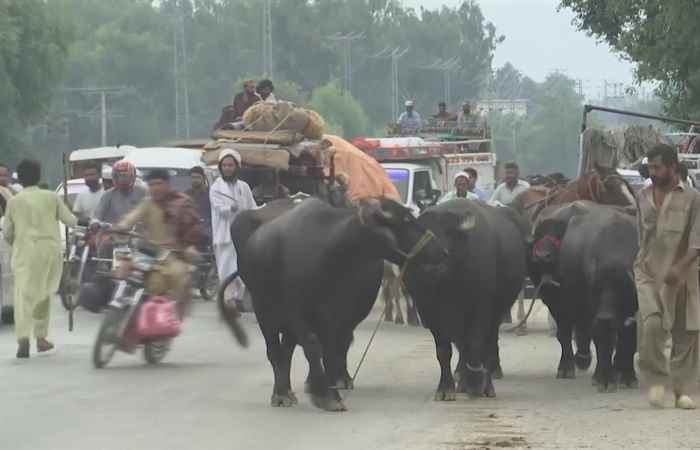  Thời sự trưa (30-08-2022)