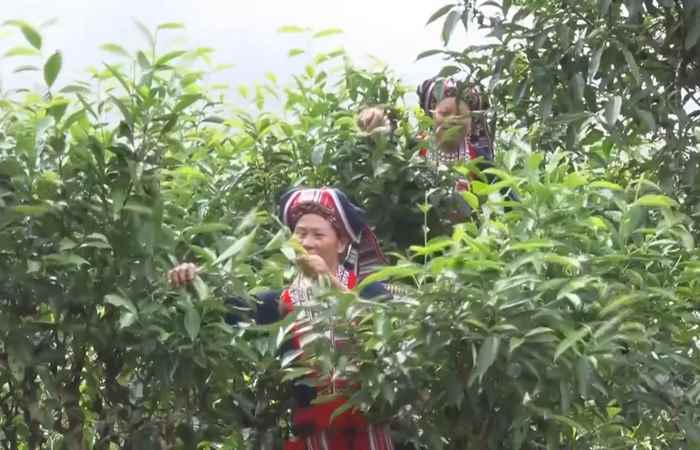  Thời sự trưa (30-09-2022)