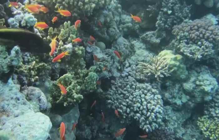 Thời sự trưa (30-10-2022)