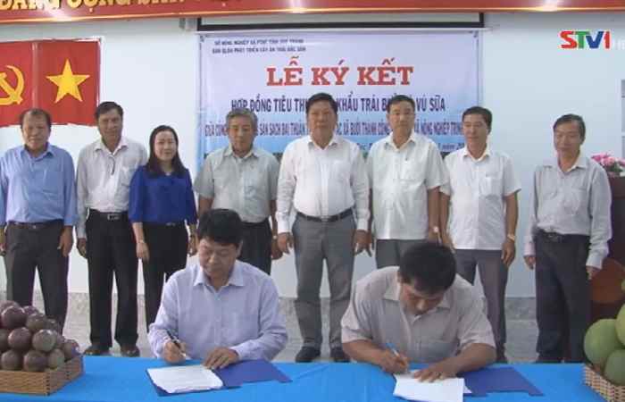 Thời sự trưa 30-11-2019