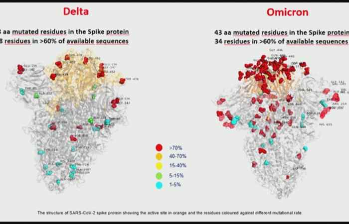Thời sự trưa (30-11-2021)