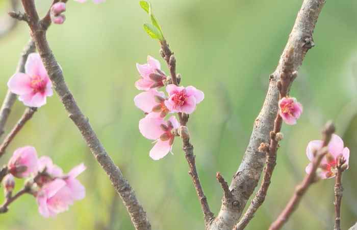 Thời sự trưa (30-12-2021)