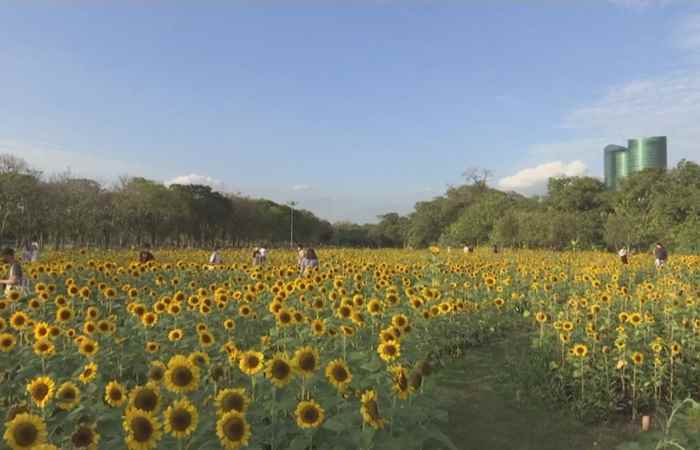  Thời sự trưa (31-01-2022)