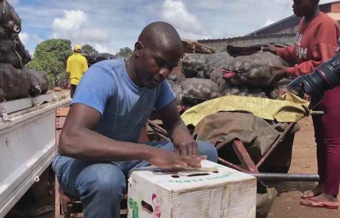 Thời sự trưa (31-01-2023)