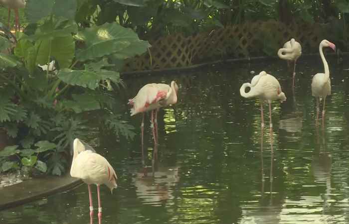 Thời sự trưa (31-08-2024)