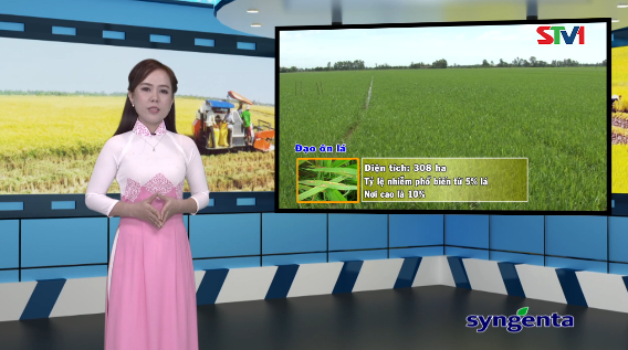 Thông tin dịch hại Nông nghiệp 06-10-2016