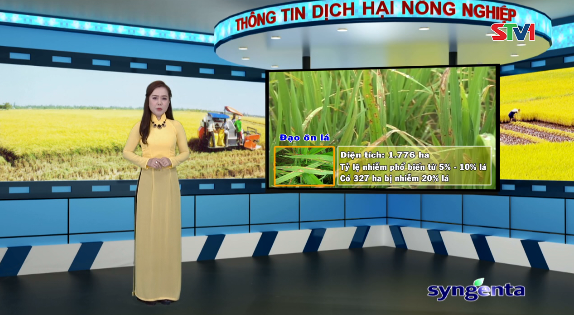 Thông tin dịch hại Nông nghiệp 26-10-2016