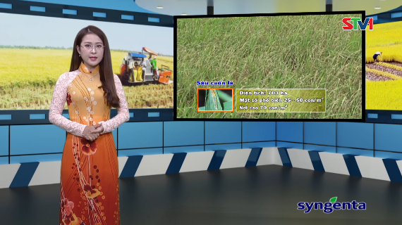 Thông tin dịch hại Nông nghiệp 09-11-2016