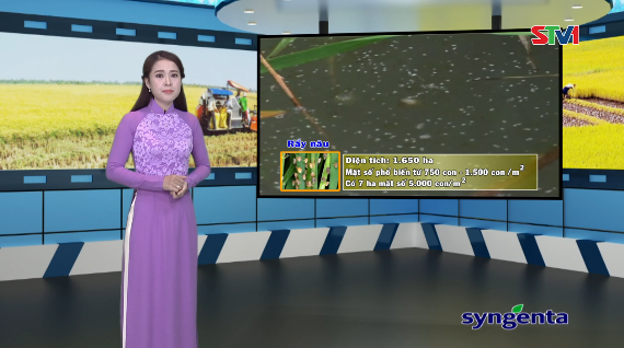 Thông tin dịch hại Nông nghiệp 04-01-2017
