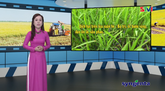 Thông tin dịch hại Nông nghiệp 18-01-2017