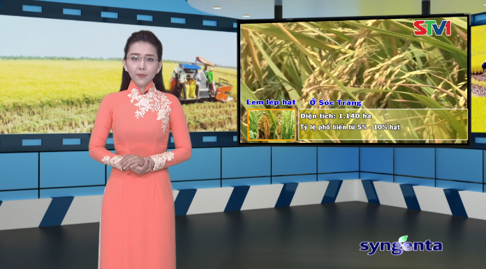 Thông tin dịch hại Nông nghiệp 22-02-2017