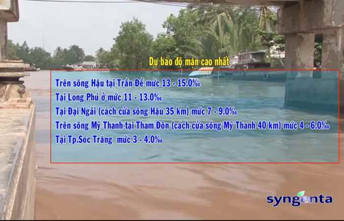 Thông tin dịch hại Nông nghiệp 01-03-2017