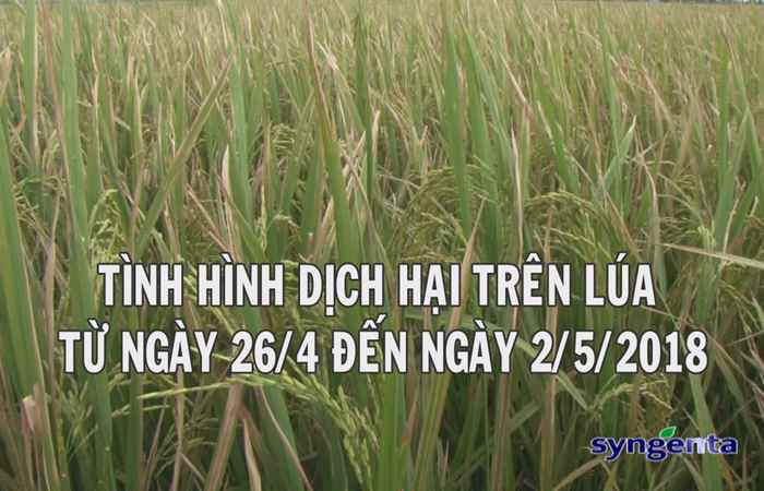 Thông tin dịch hại Nông nghiệp 02-05-2018