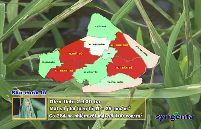 Thông tin dịch hại Nông nghiệp 05-07-2017