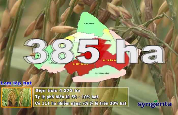 Thông tin dịch hại Nông nghiệp 06-09-2017