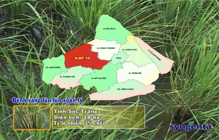 Thông tin dịch hại Nông nghiệp 07-06-2017