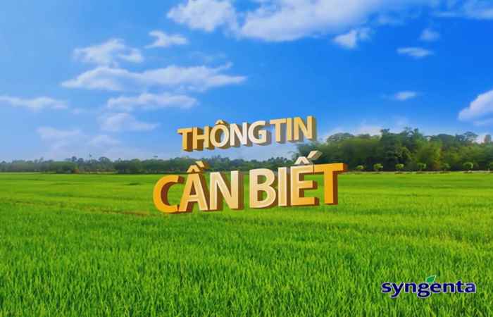 Thông tin dịch hại Nông nghiệp 10-01-2018