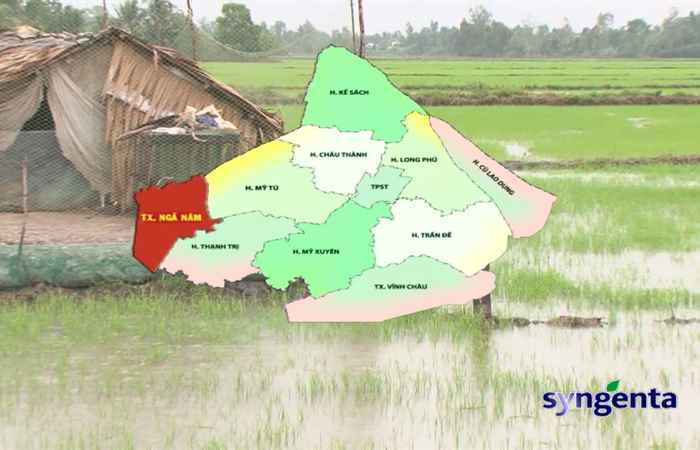 Thông tin dịch hại Nông nghiệp 10-05-2017