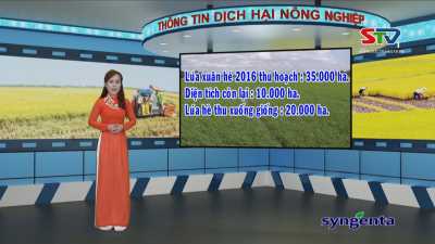 Thông tin dịch hại Nông nghiệp 11-05-2016