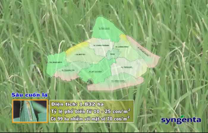 Thông tin dịch hại Nông nghiệp 12-07-2017